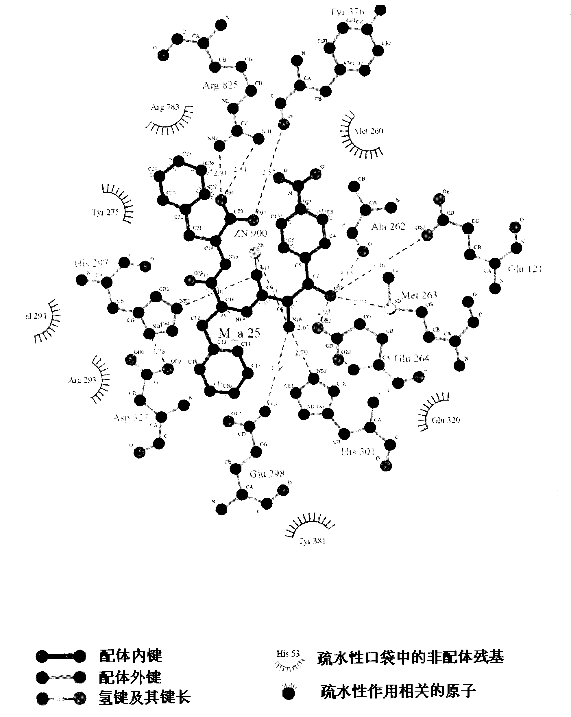 2-amino-1-(4-nitro phenyl)-1-ethanol metalloid protease inhibitor, and preparation and use thereof