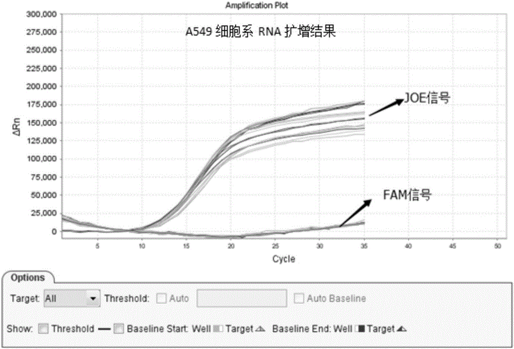 Human ALK fusion gene detection primer set and detection kit