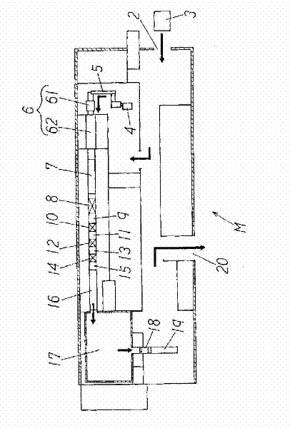 Method for processing grilled fish fillets