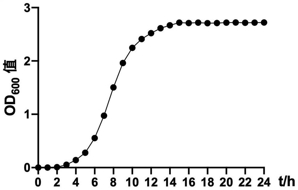 Lactobacillus reuteri SXDT-32 and application thereof