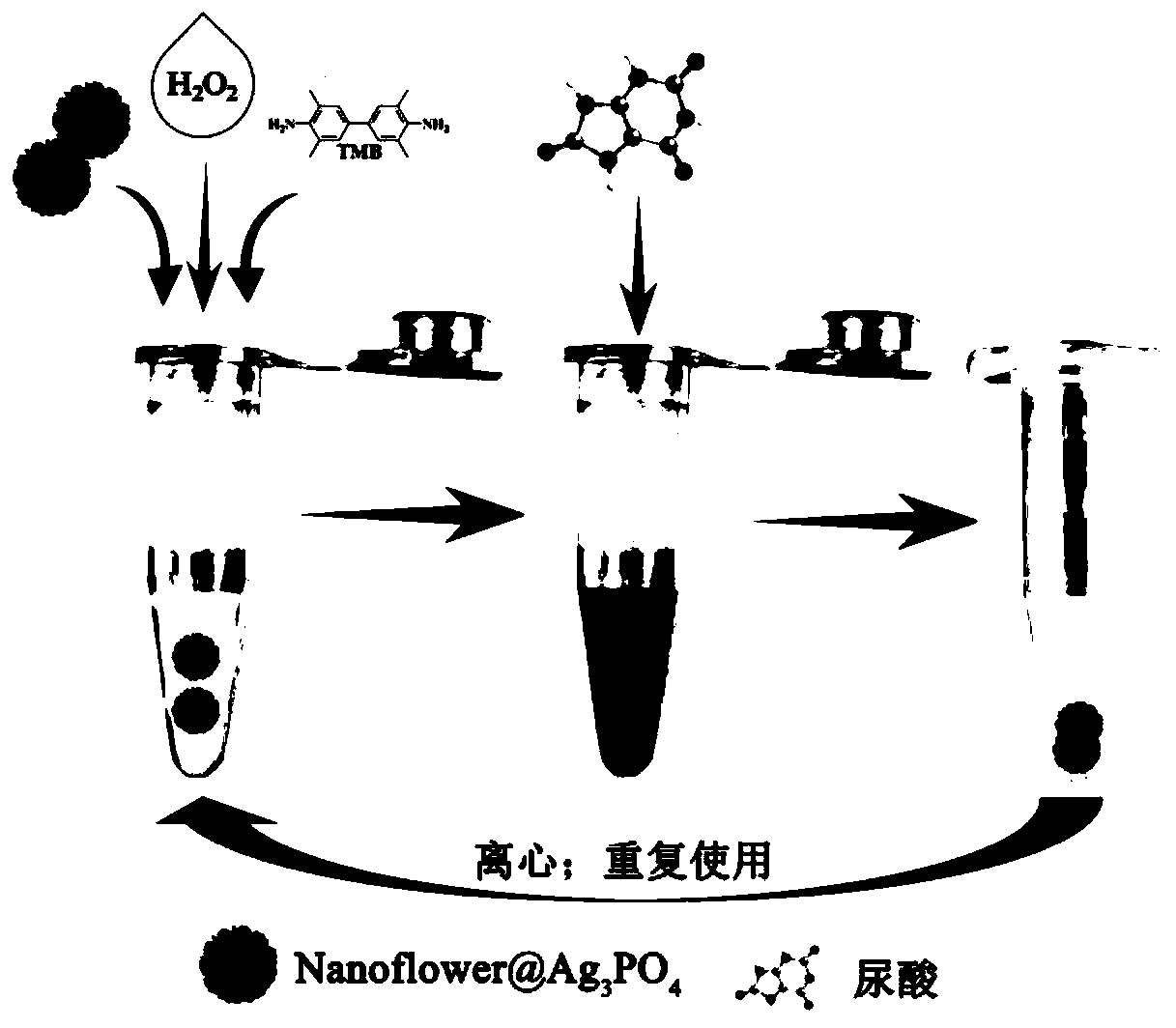 Keratin nano-flower material loaded with silver phosphate and preparation and application thereof