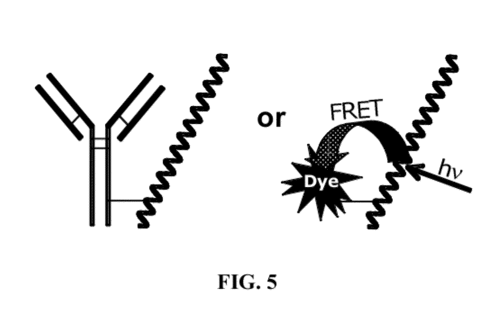 Fluorescent Methods and Materials for Directed Biomarker Signal Amplification