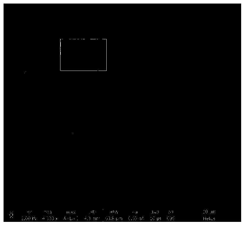 Plant tissue integral staining method for ultrathin slice