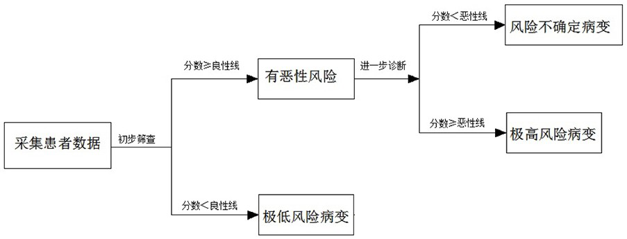 Tumor malignancy risk stratification auxiliary diagnosis system based on artificial intelligence medical imaging