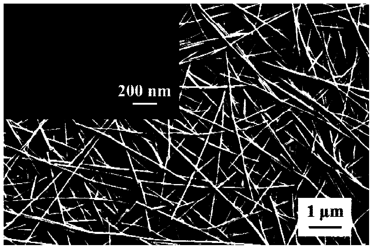 Large-length-diameter ratio silver nanowire based on one-pot polyol method and preparation method and application thereof