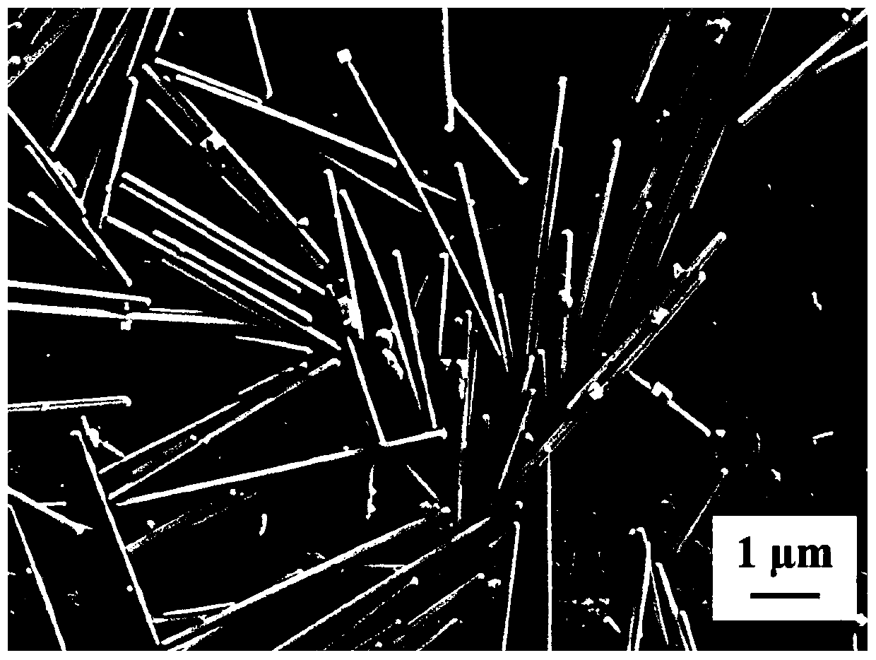 Large-length-diameter ratio silver nanowire based on one-pot polyol method and preparation method and application thereof