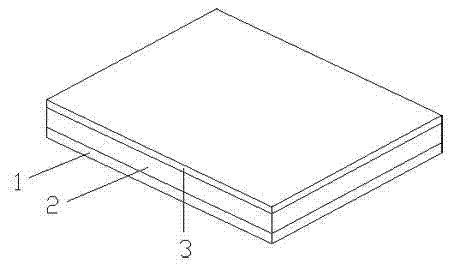 Chinese medicinal paste film for treating skin ulcer and preparation method thereof