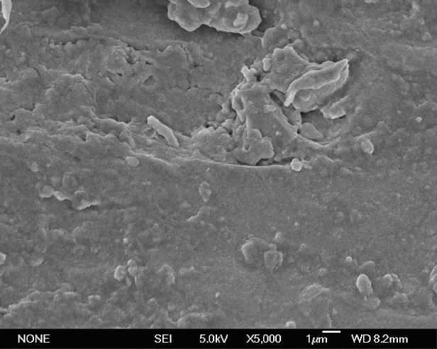 Method for preparing titanium-zirconium/polyhydroxy esterified product composite conversion coating of aluminum alloy surface