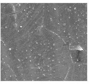 Method for preparing titanium-zirconium/polyhydroxy esterified product composite conversion coating of aluminum alloy surface