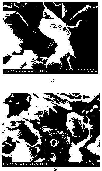 Preparation method of magnesium hydrate