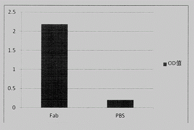 Anti-phosphatidylinositol proteoglycan 3 complete humanized antibody