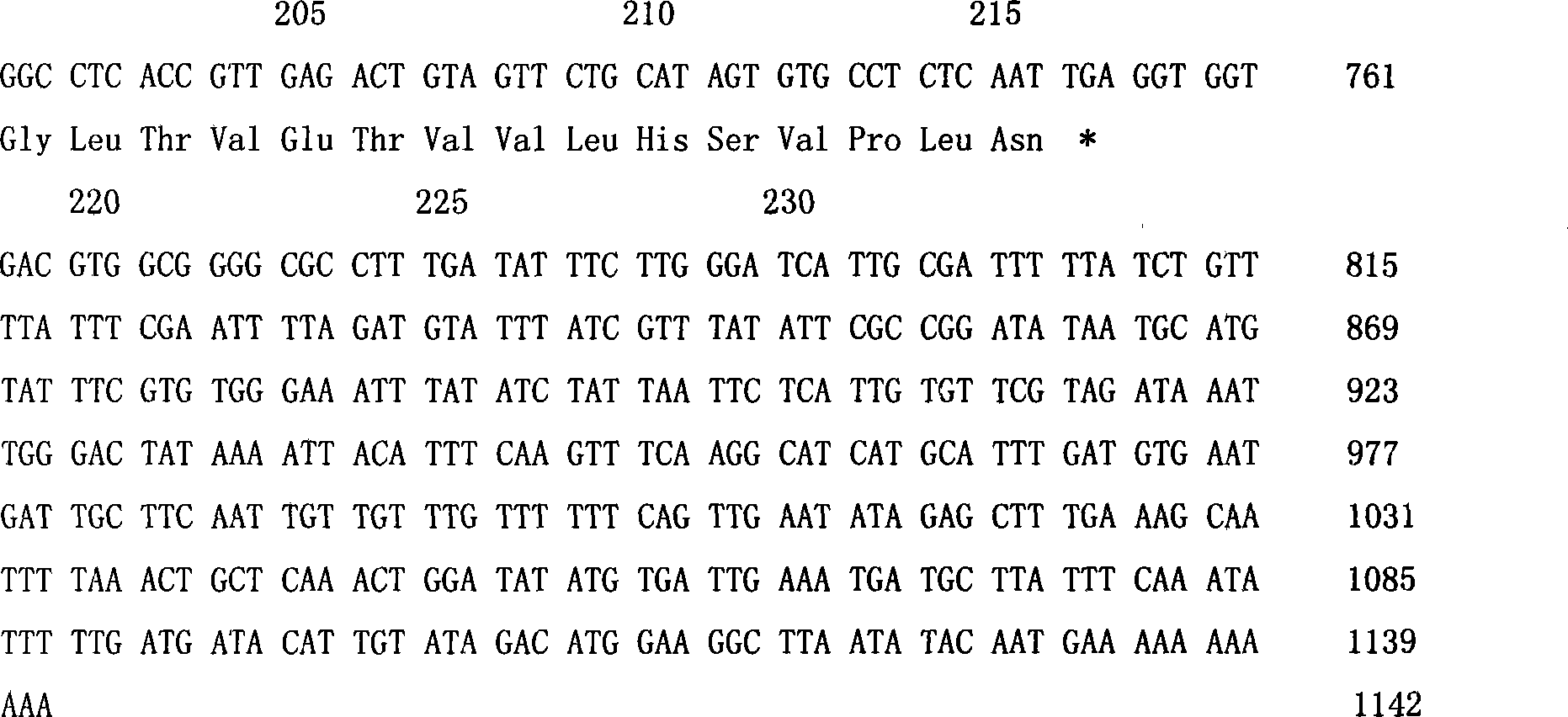 Scutellaria viscidula chalcone synthetase albumen coded sequence