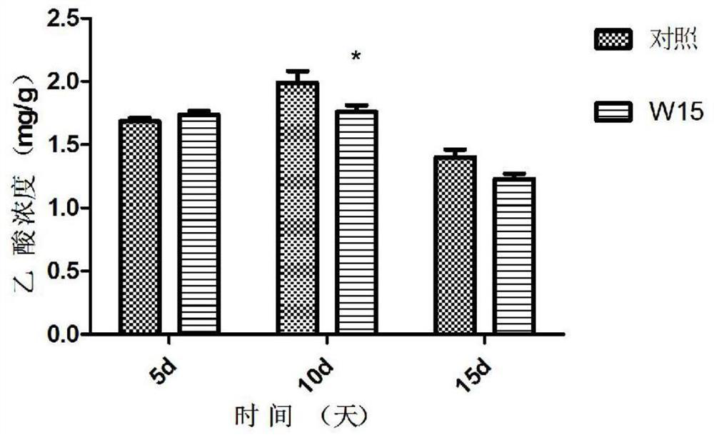 A strain of bacillus for removing the stench of sheep manure and its application