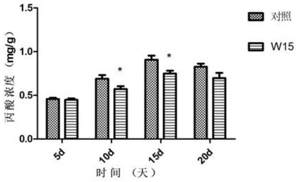 A strain of bacillus for removing the stench of sheep manure and its application