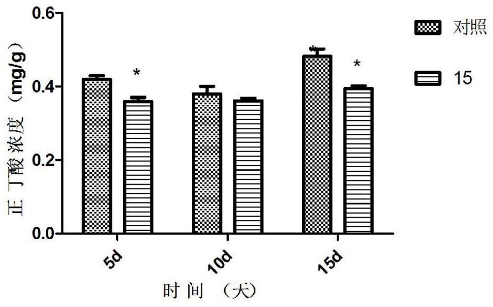 A strain of bacillus for removing the stench of sheep manure and its application