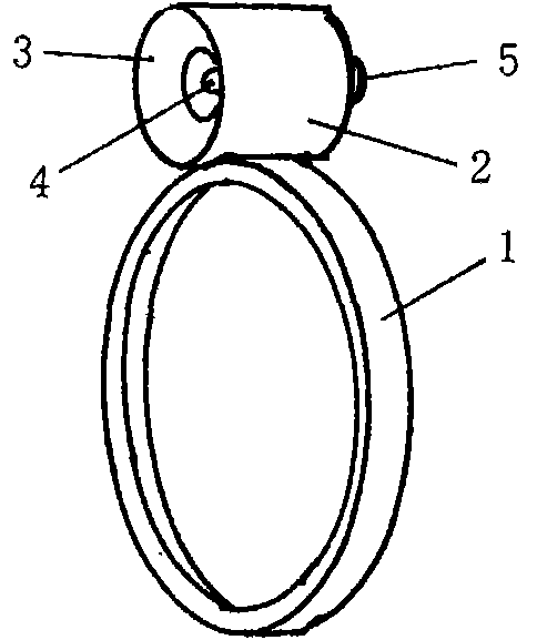 Ring lamp