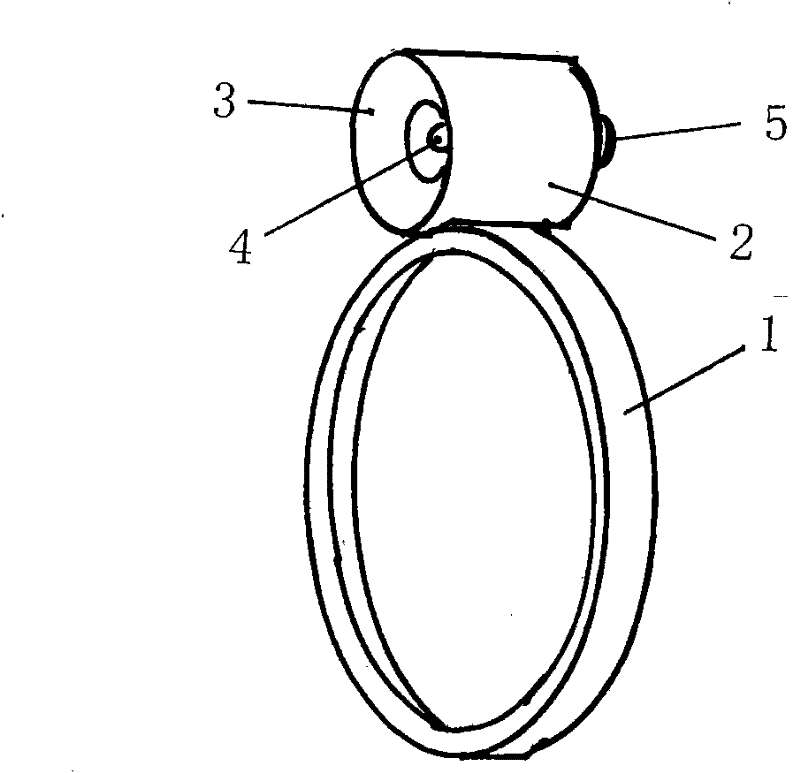 Ring lamp