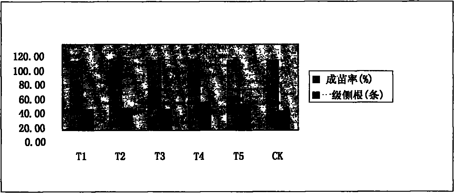 Float seedling method of cured tobacco