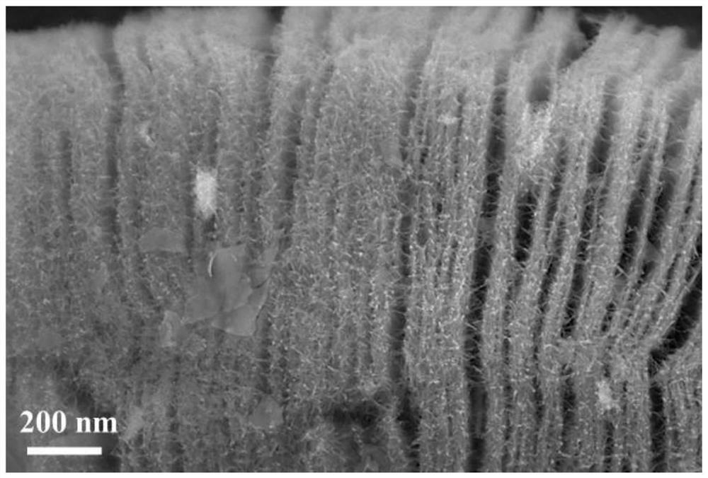 a cote  <sub>2</sub> /mxene composite material and preparation method thereof