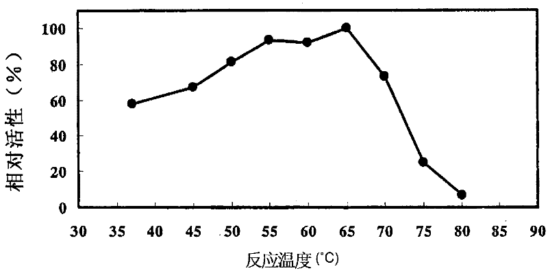 Phospholipase C, food enzyme agent comprising same and processing method for food raw materials