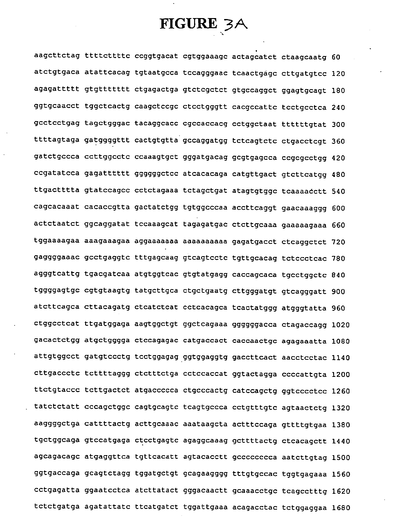 Adenovirus vectors containing cell status-specific response elements and methods of use thereof