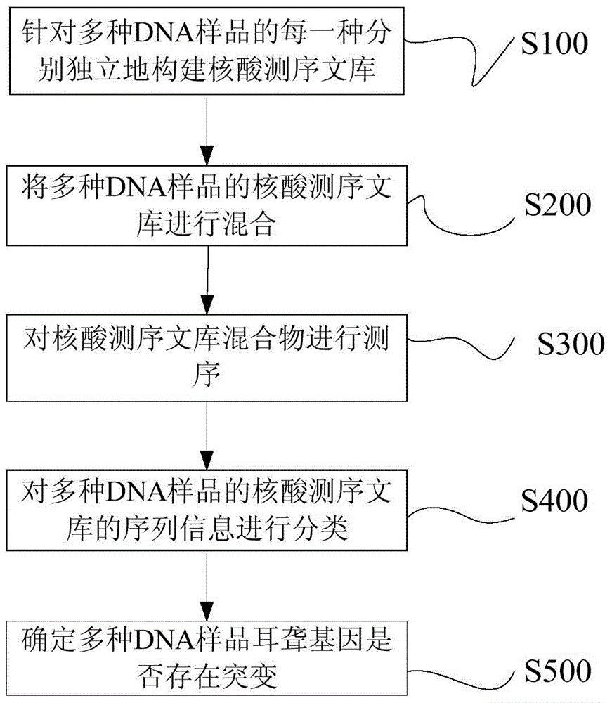 DNA label, PCR primer and application thereof