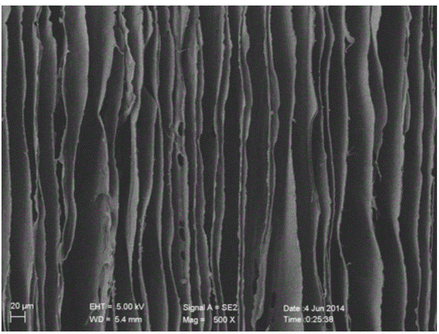 Freezing method of material with microcosmic lamellar structure