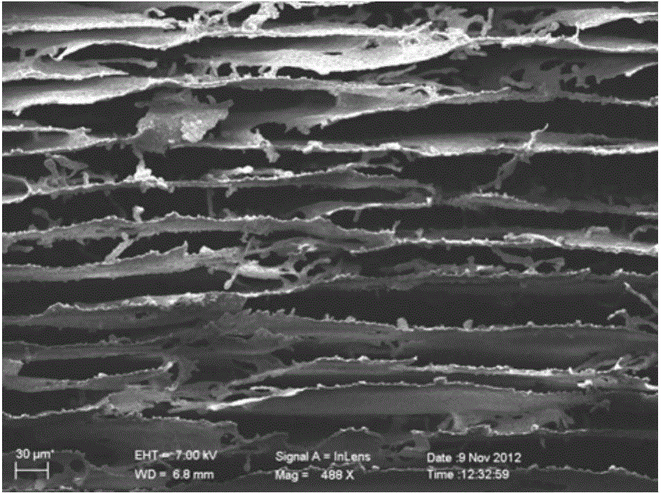 Freezing method of material with microcosmic lamellar structure