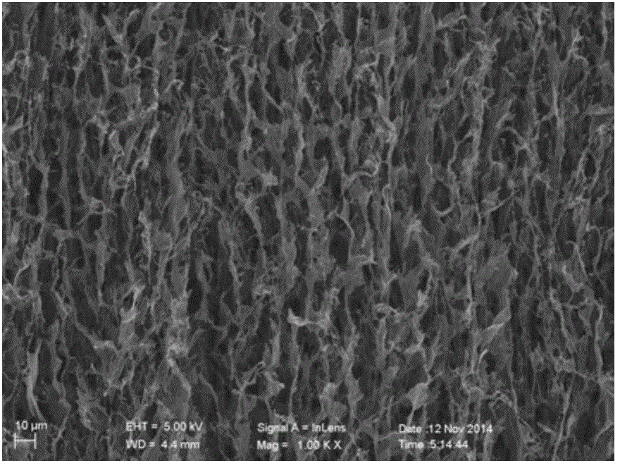 Freezing method of material with microcosmic lamellar structure