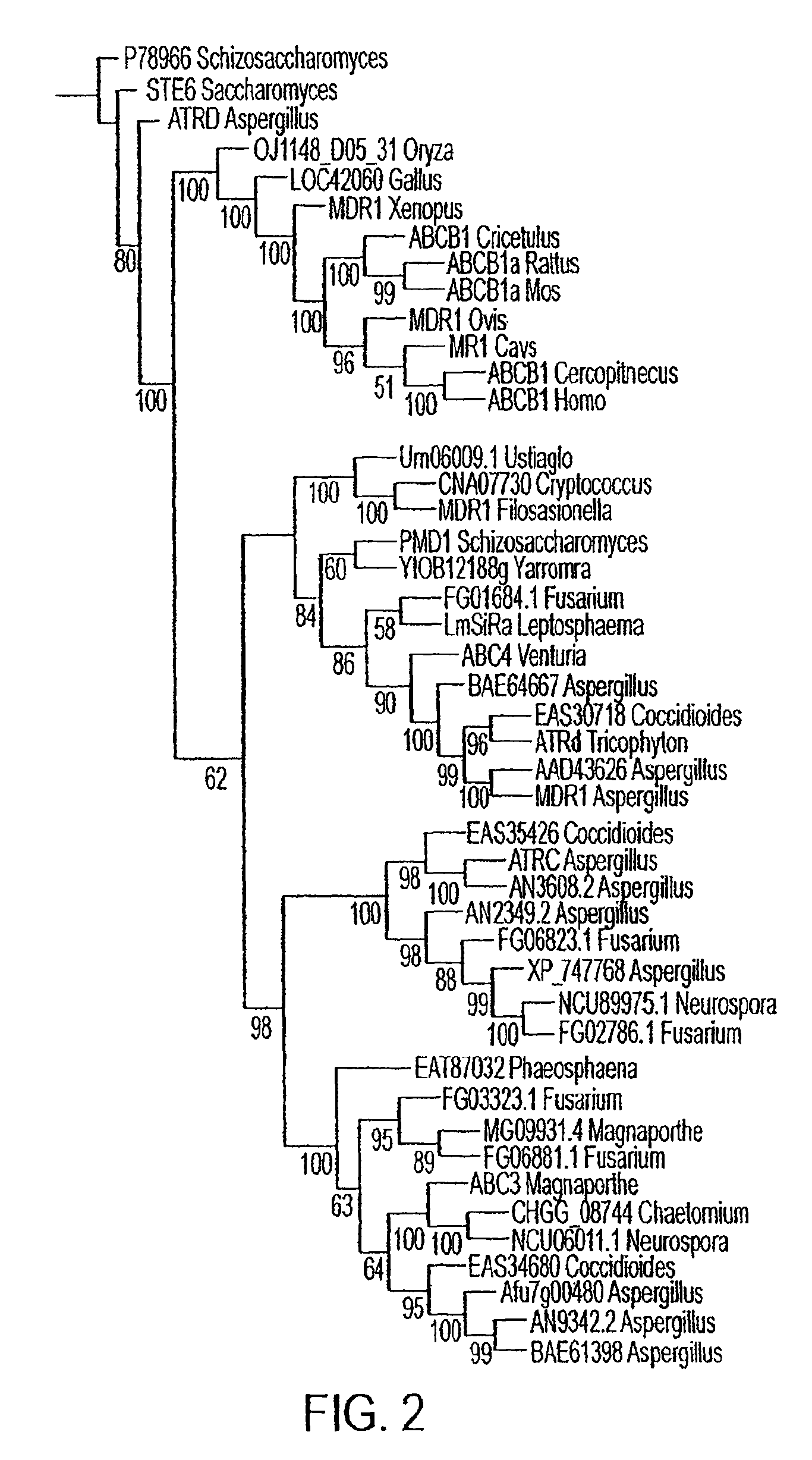 System for inhibiting pathogenicity in the rice-blast fungus Magnaporthe grisea