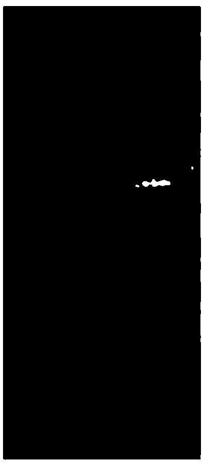 GAMYB gene based cultivation method for transgenic rice sterile line