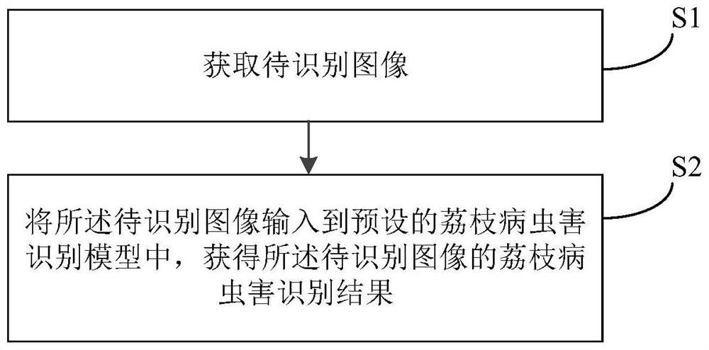 Litchi disease and insect pest identification method based on deep learning