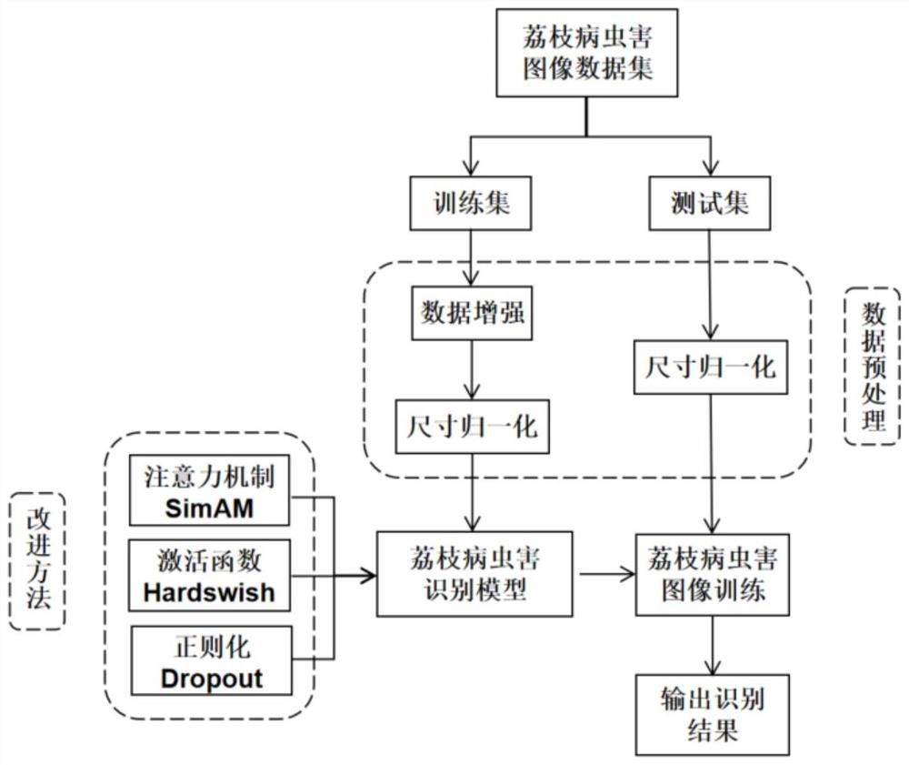 Litchi disease and insect pest identification method based on deep learning