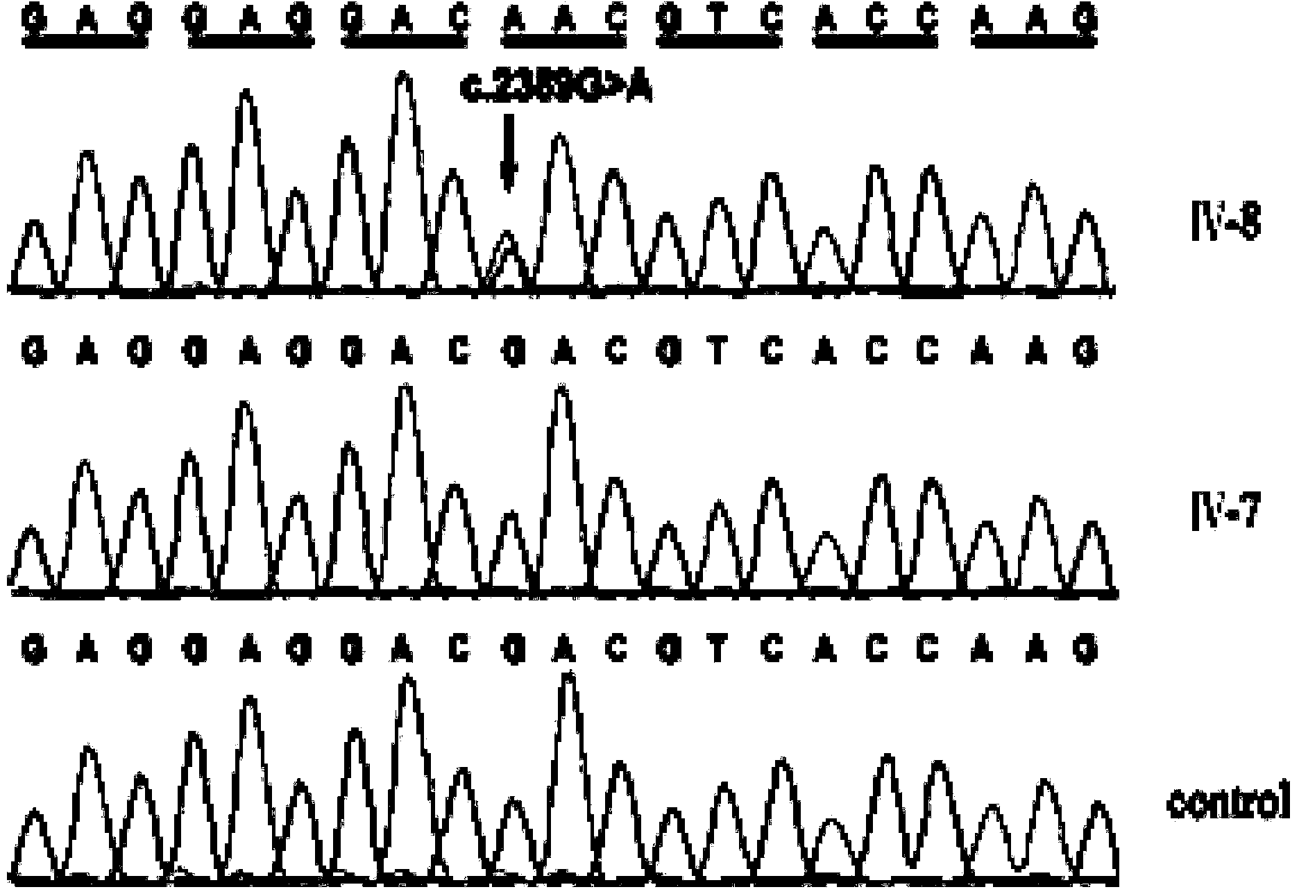 Kit for detecting gene mutation of deafness