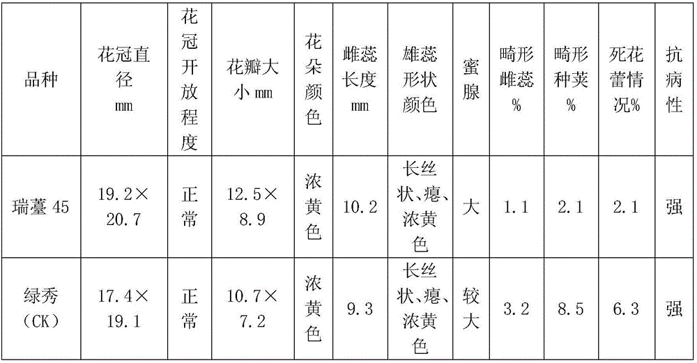 Breeding method of disease-resistant loose type broccoli