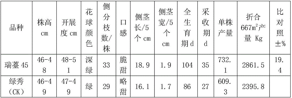 Breeding method of disease-resistant loose type broccoli