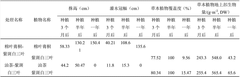 Ecological restoration method for tailings bank