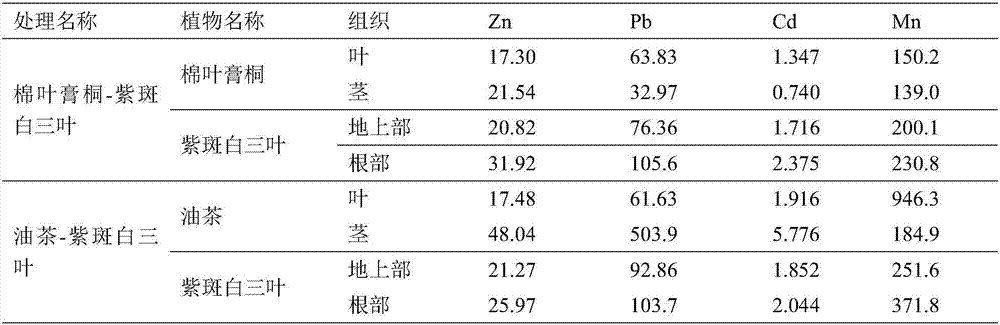 Ecological restoration method for tailings bank