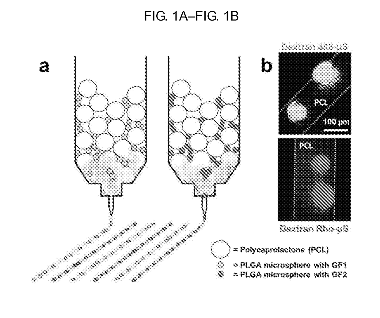 Spatiotemporal delivery system embedded in 3d-printing