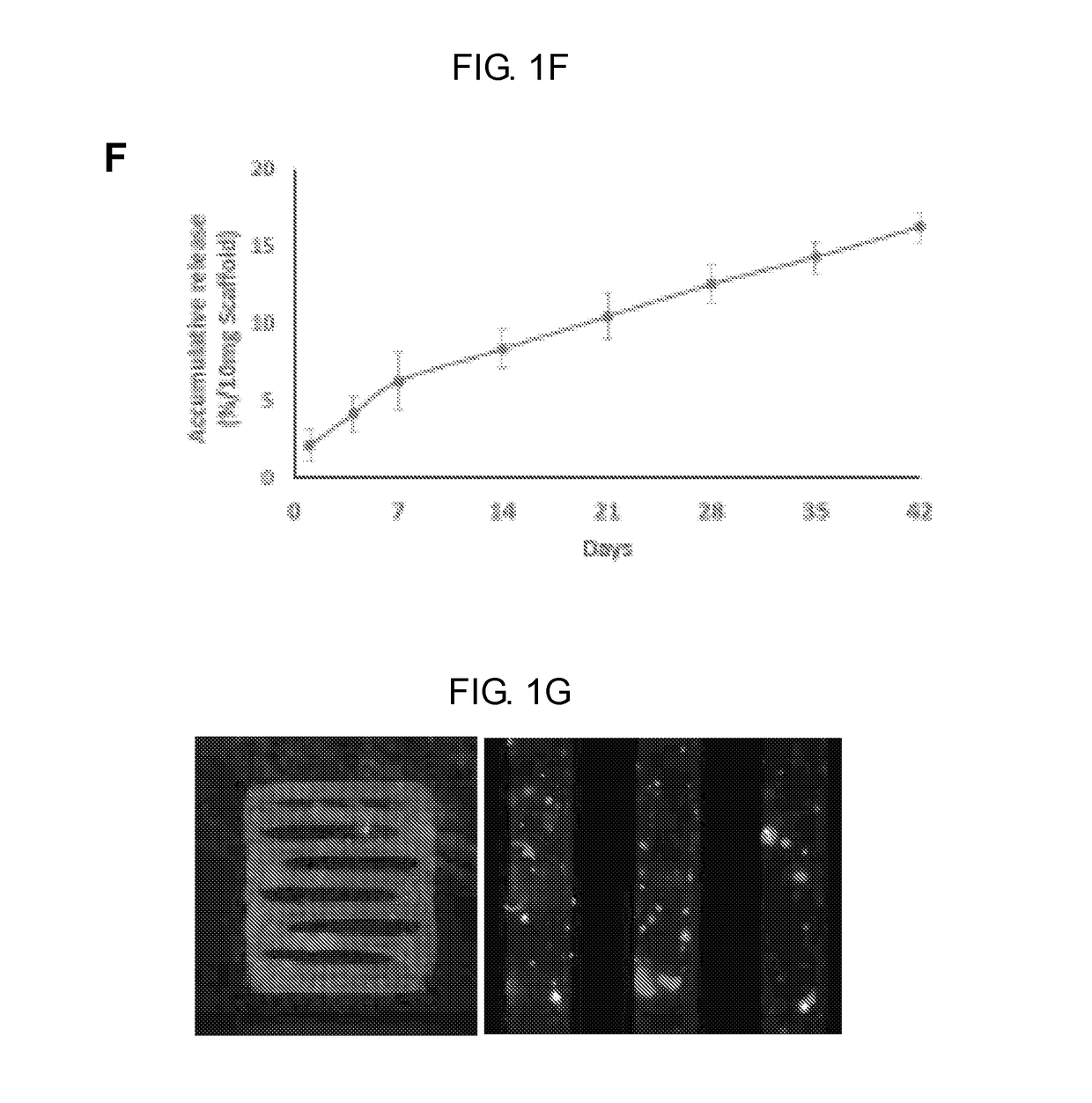 Spatiotemporal delivery system embedded in 3d-printing