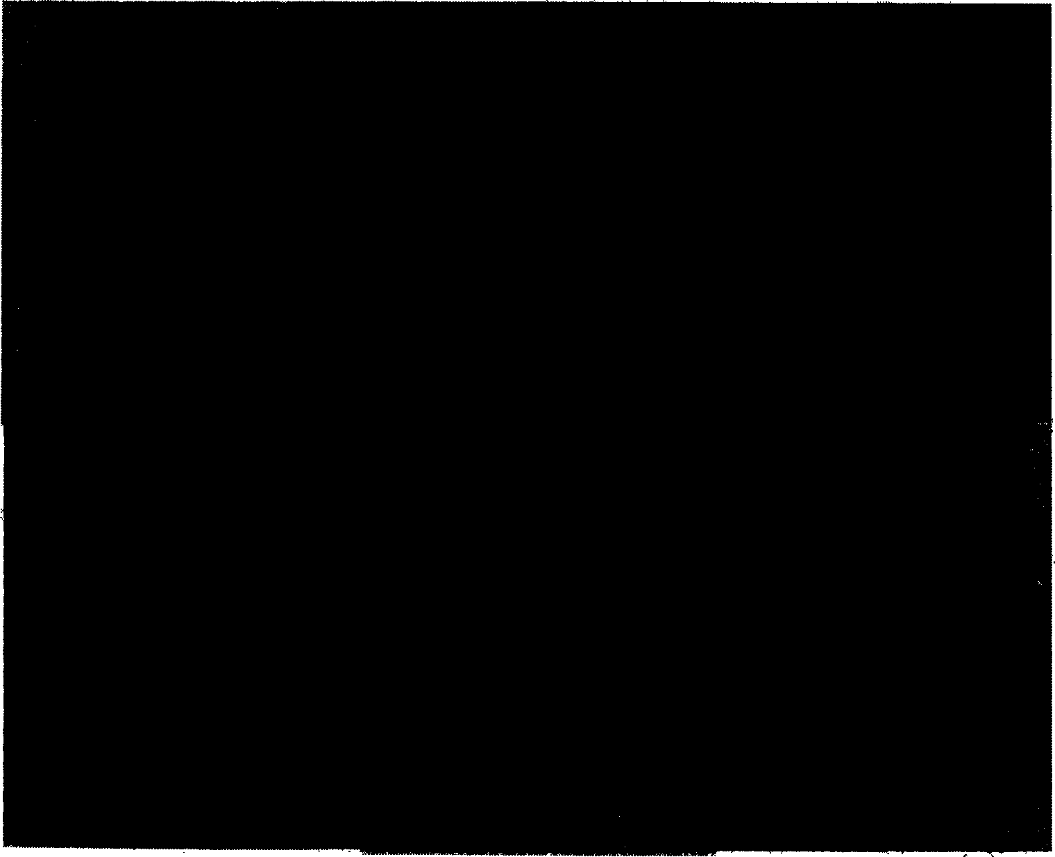 Agglutinin II protein of rhizome of king solomonseal, and application