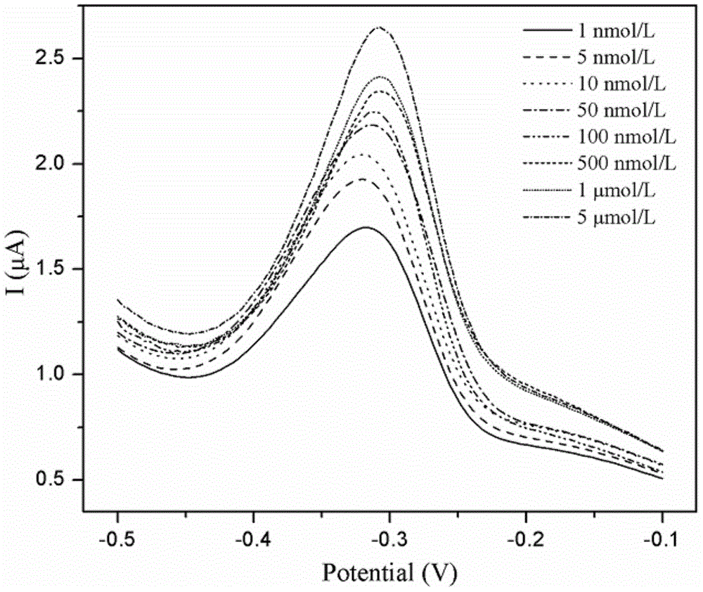 Biological sensor for detecting tetracycline on basis of aptamer specificity and preparation method of biological sensor