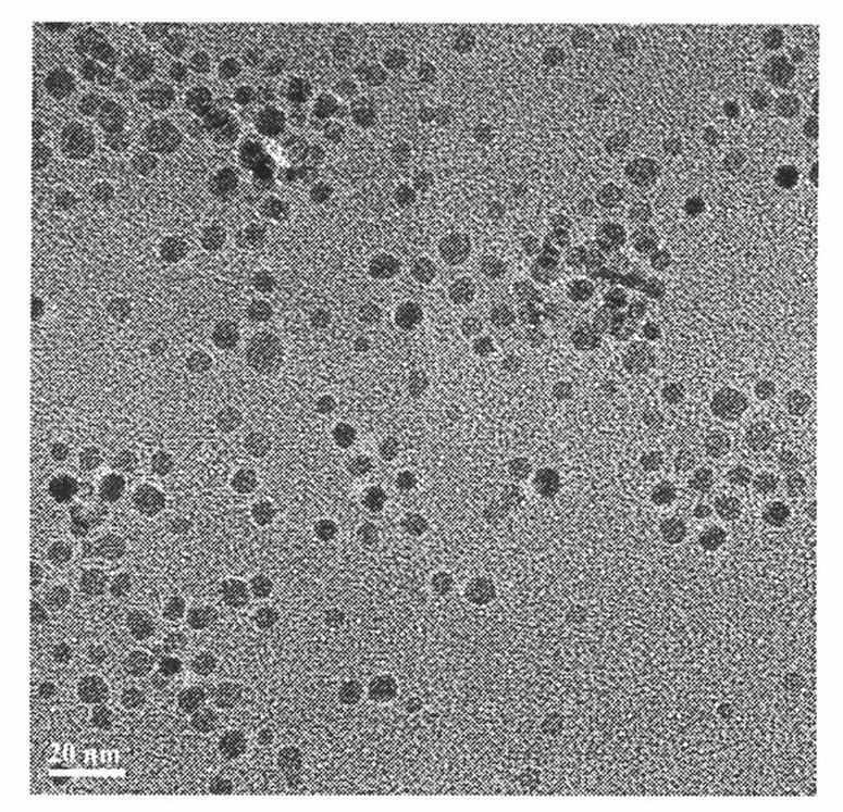 Amphiphilic superparamagnetism magnetic resonance contrast medium