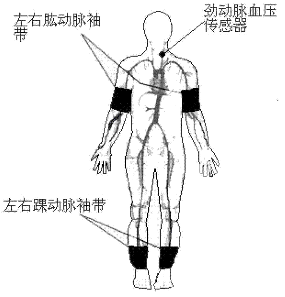 Non-invasive detection method and system for aortic stenosis section by section positioning by transfer function