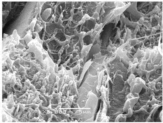 High concentration sericite master batch and preparation method and application thereof