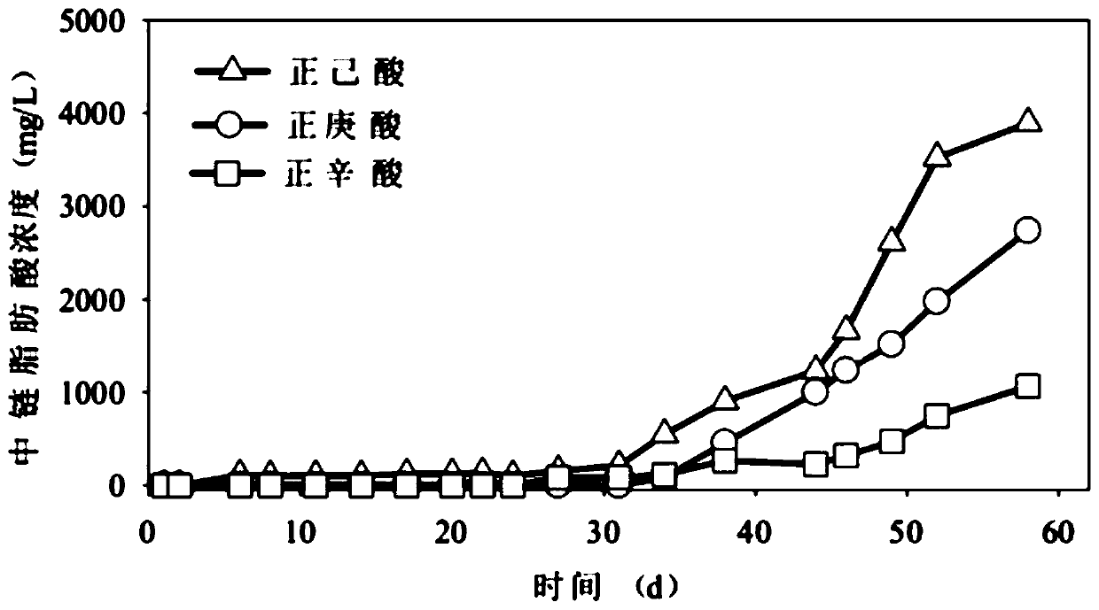 Method for producing medium-chain fatty acid from fermented liquor of livestock and poultry manure