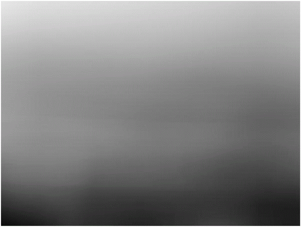 Improved Retinex image defogging method