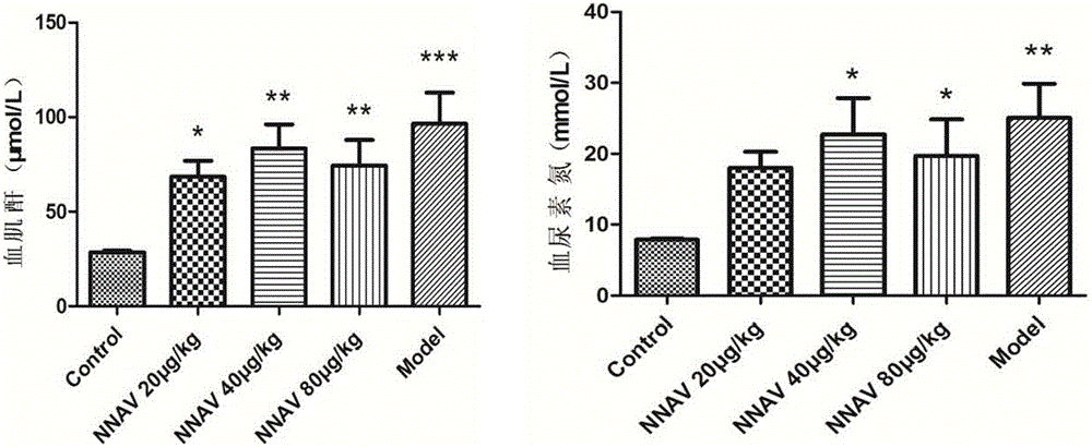 Use of physically modified Chinese cobra snake venom in the preparation of medicines for treating acute and chronic kidney diseases