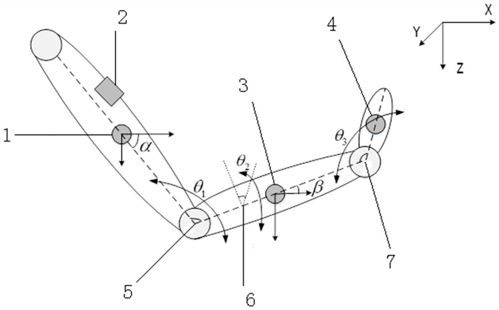 Parkinson's resting-state tremor assessment method based on wearable somatosensory network