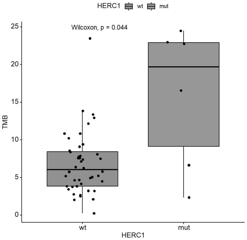 Biomarker for predicting sensitivity of melanoma patient to immunotherapy, application and device